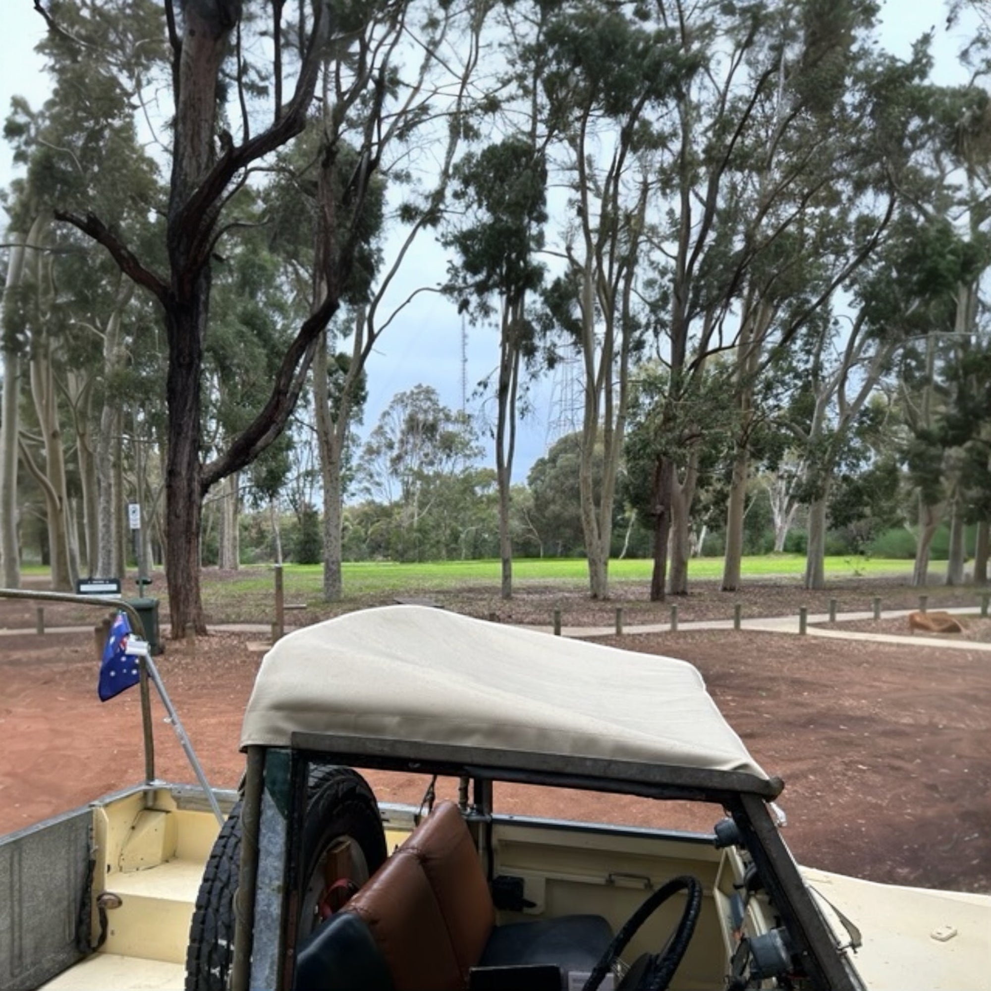View from inside a vehicle in a park with trees and open space.