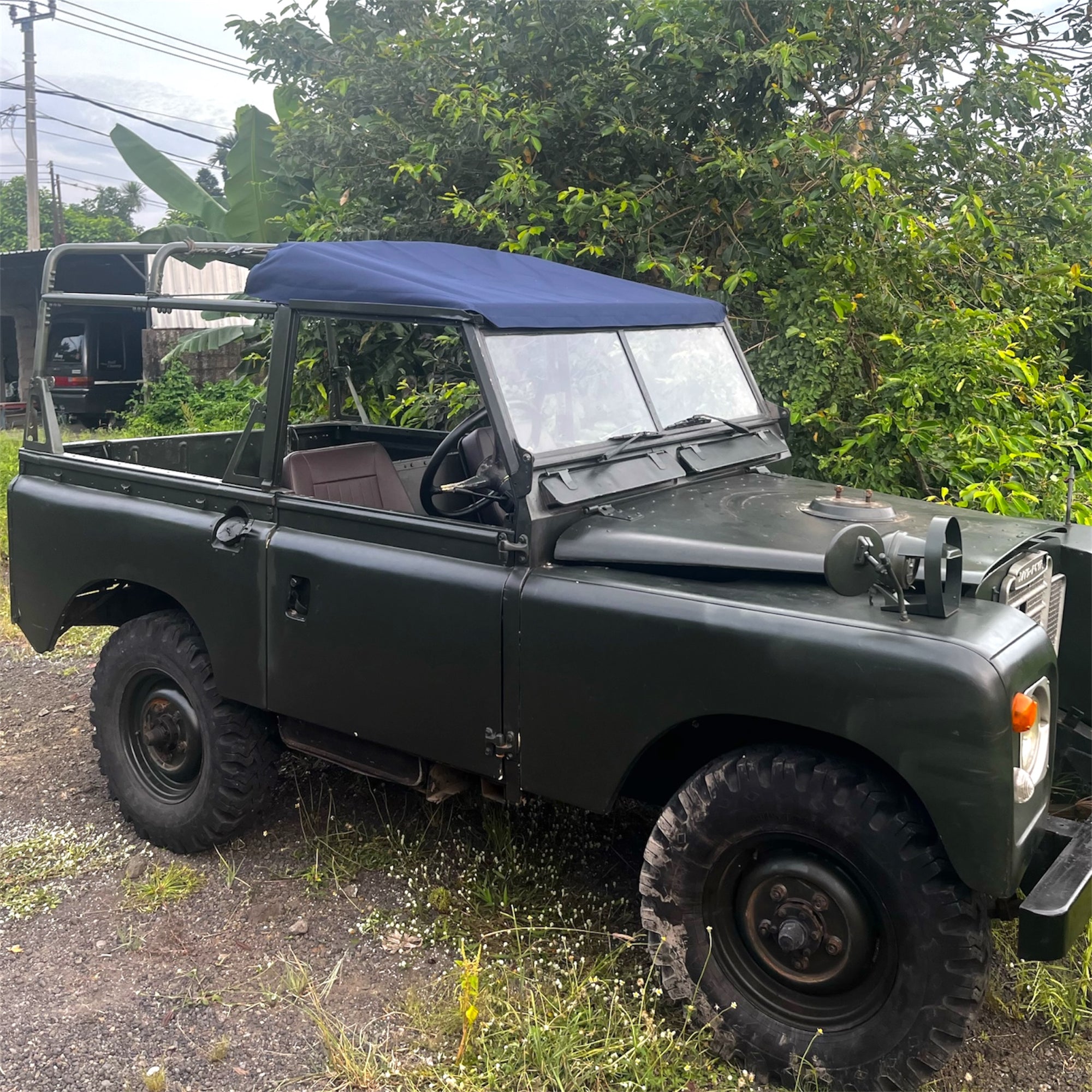 Vintage green jeep with a blue soft top parked on a dirt road surrounded by trees.