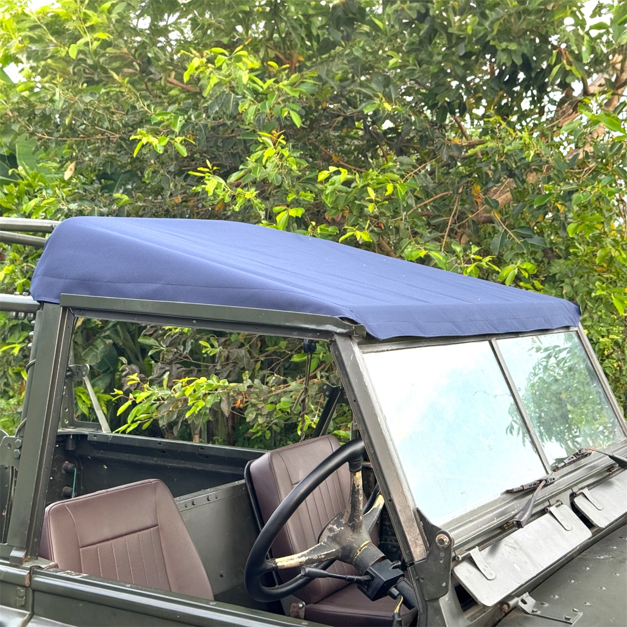 Open-top vehicle with a blue soft top against a green forest background