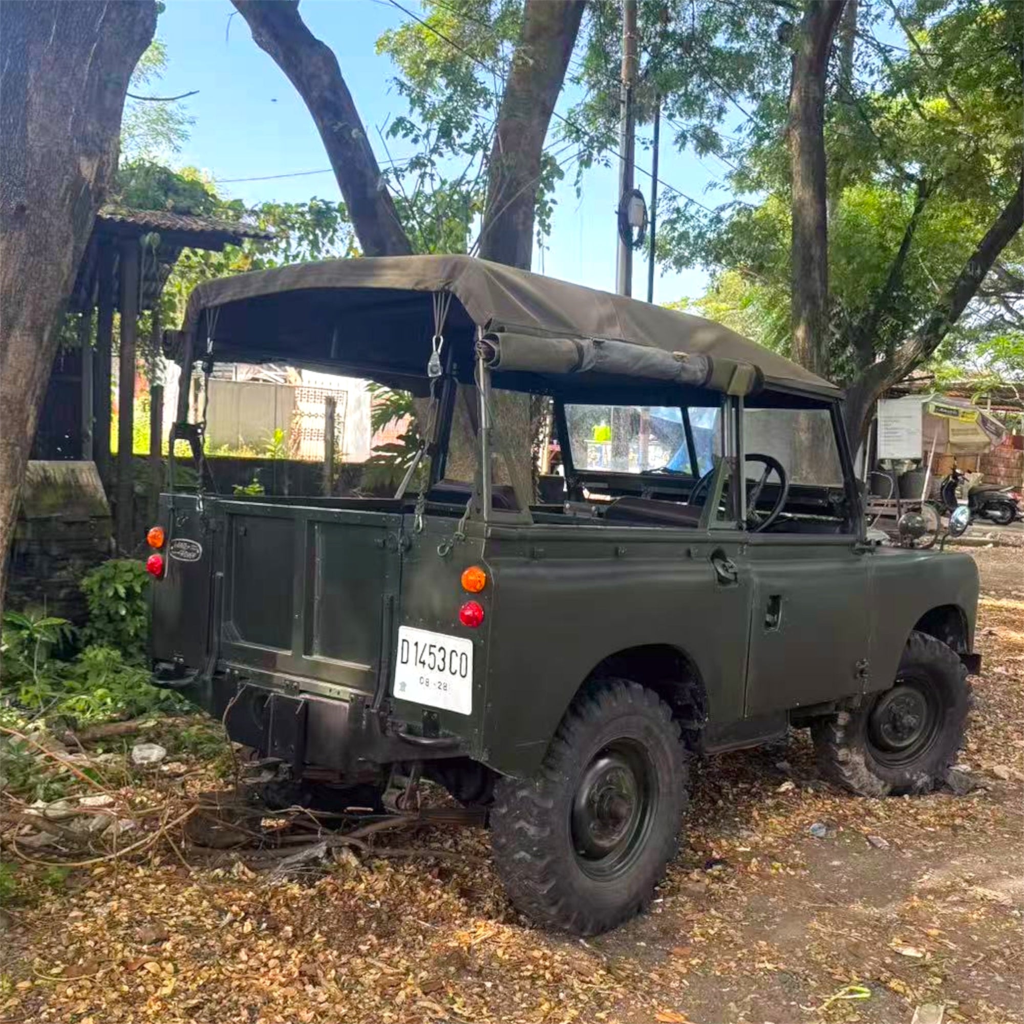 Vintage green jeep in a natural setting with trees and a clear sky.