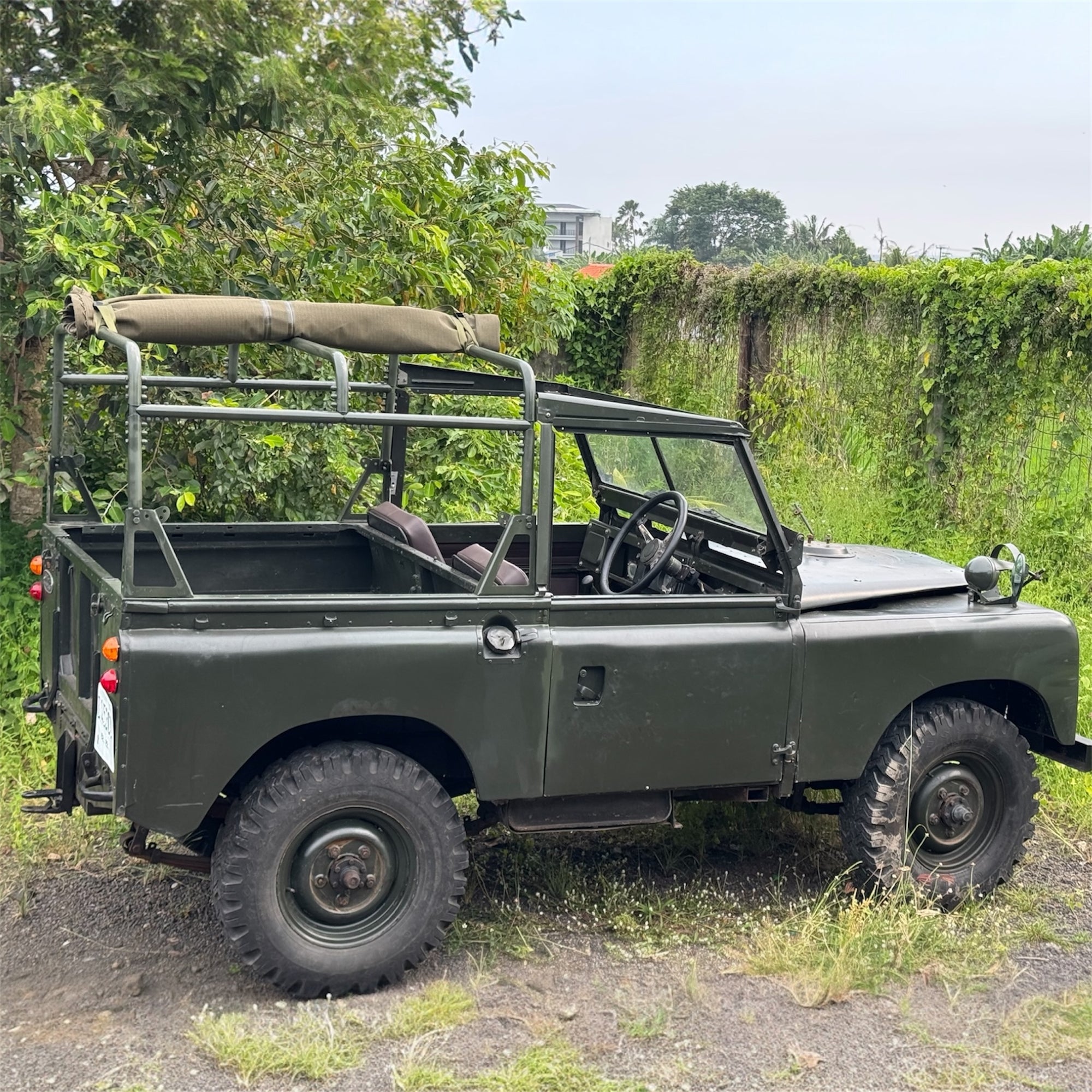 Green vintage jeep parked on a dirt road with greenery in the background