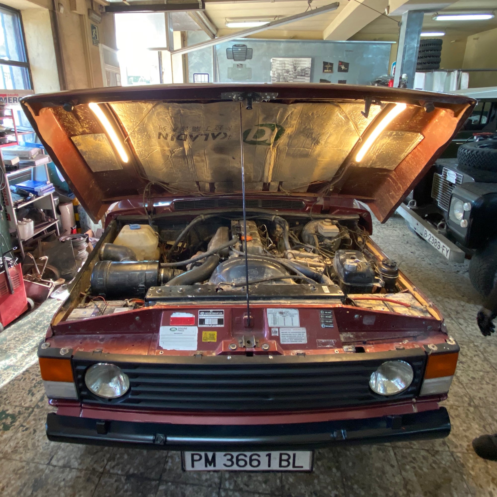 IP68 Hood-Flood light - senorbarbo